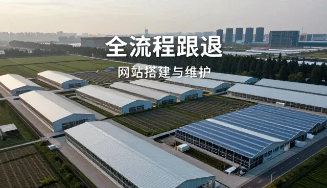 地区内容优化中的适用条件与业务发展趋势